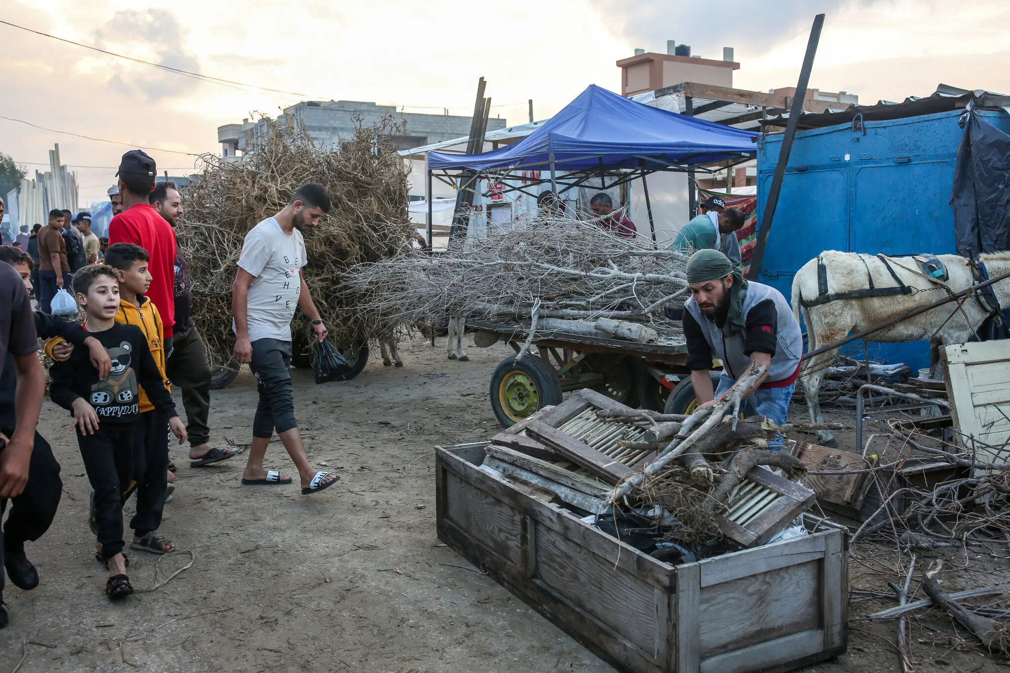 "Ми повернулися в кам'яний вік"